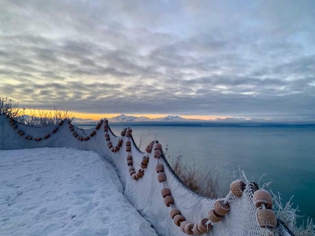 Baycrest Lodge Хомер Экстерьер фото